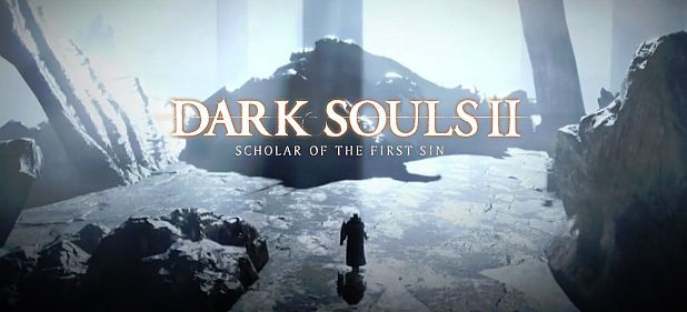 Dark Souls 2 (Rollenspiel) von Bandai Namco Dark Souls 2 (Rollenspiel) von Bandai Namco