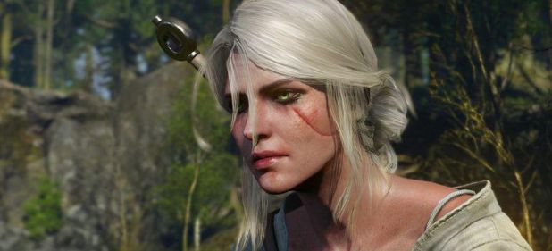The Witcher 3: Wild Hunt (Rollenspiel) von Bandai Namco The Witcher 3: Wild Hunt (Rollenspiel) von Bandai Namco