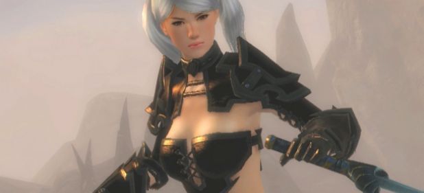 Guild Wars 2 (Rollenspiel) von NCSoft Guild Wars 2 (Rollenspiel) von NCSoft