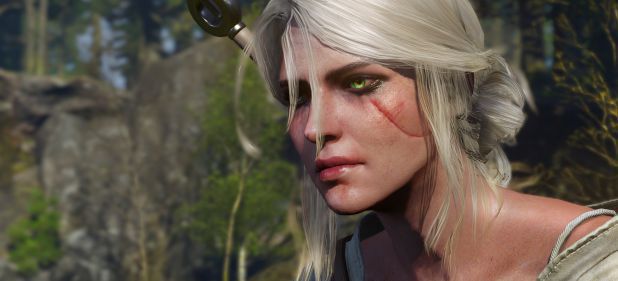 The Witcher 3: Wild Hunt (Rollenspiel) von Bandai Namco The Witcher 3: Wild Hunt (Rollenspiel) von Bandai Namco