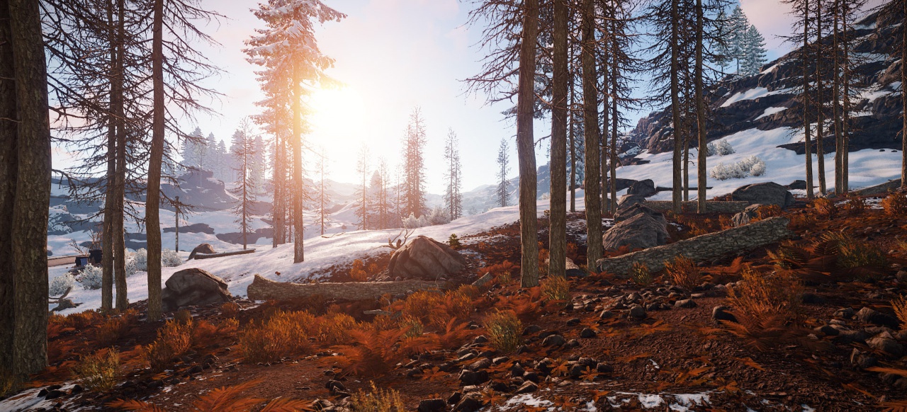 Rust (Rollenspiel) von Facepunch Studios Rust (Rollenspiel) von Facepunch Studios