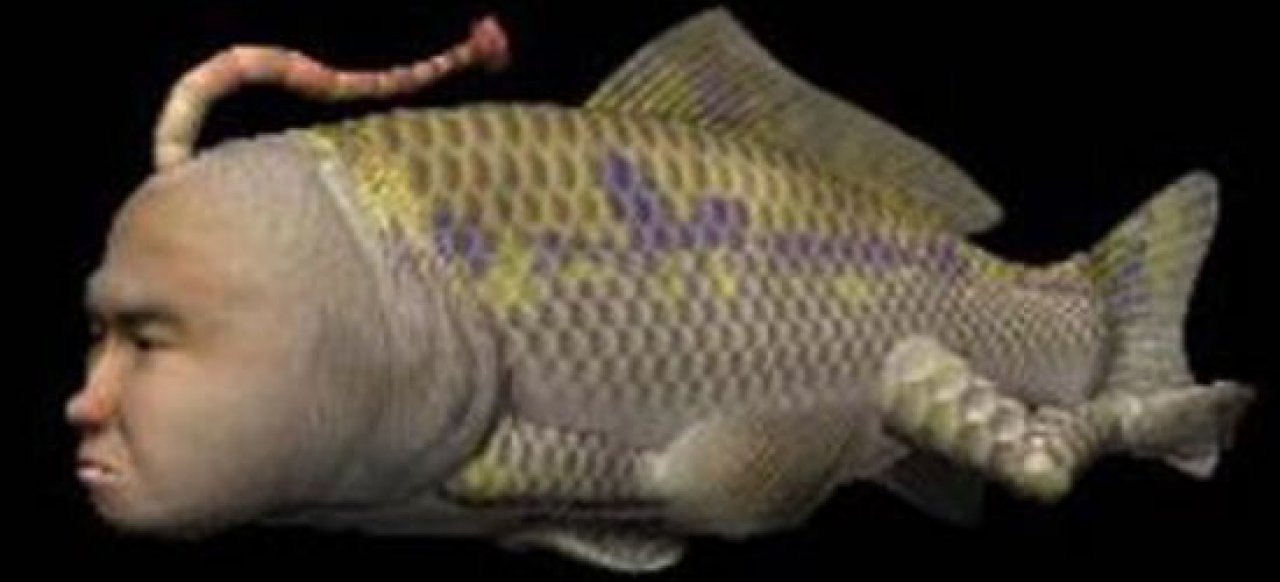 Seaman (Simulation) von ASCII Seaman (Simulation) von ASCII