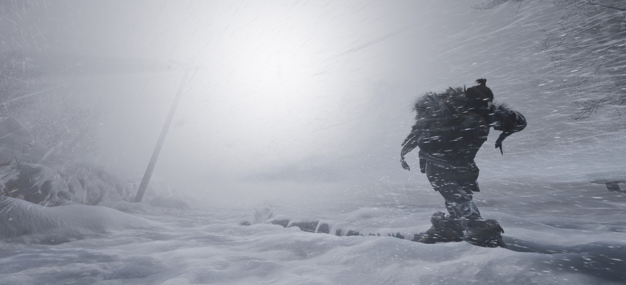 Fade to Silence (Simulation) von THQ Nordic Fade to Silence (Simulation) von THQ Nordic