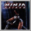 Ninja Gaiden f&uuml;r XBox