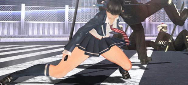 Mitsurugi Kamui Hikae (Action) von Playism Mitsurugi Kamui Hikae (Action) von Playism