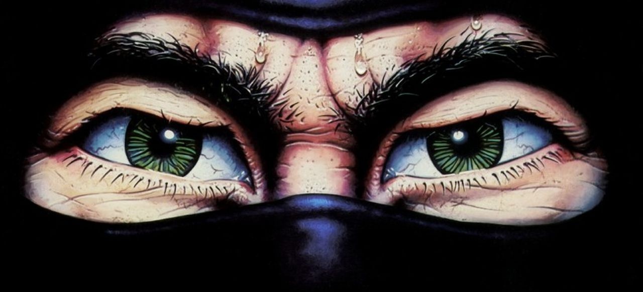 The Last Ninja (Action) von Activision The Last Ninja (Action) von Activision