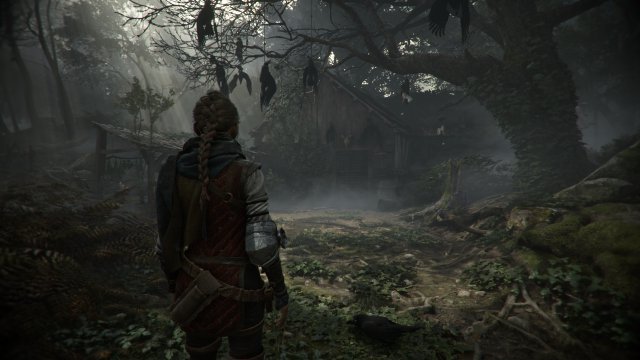 A Plague Tale Requiem in der Testübersicht: Metacritic und Co sind sich  einig