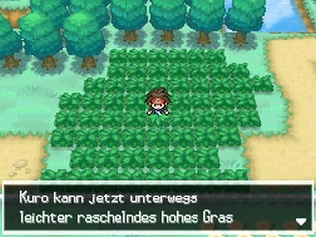 Wilde Pokémon verstecken gern im hohen Gras.