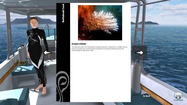 Im Logbuch gibt es im Spielverlauf detaillierte Infos zu Fischen und Korallen.